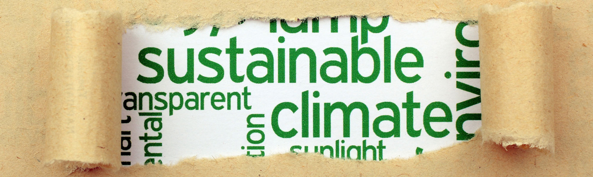 Sustainability